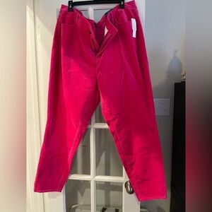 Talbots Fuchsia Trousers